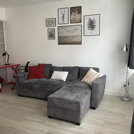 Apartment 600m Gare Et 400m Gem: Lit Double, Wifi Fibre Grenoble